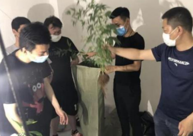 大學(xué)老師茶葉中夾帶毒品網(wǎng)絡(luò)販賣2.jpg