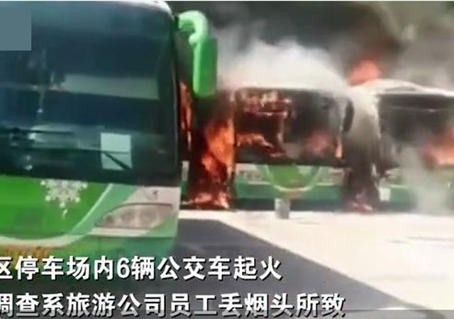 隨手丟煙頭燒了6輛公交車1.jpg