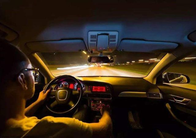 司機開車時邊擼狗邊看書2.jpg
