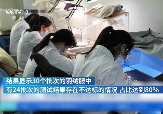 直播平臺(tái)羽絨服抽檢8成不達(dá)標(biāo)2.jpg