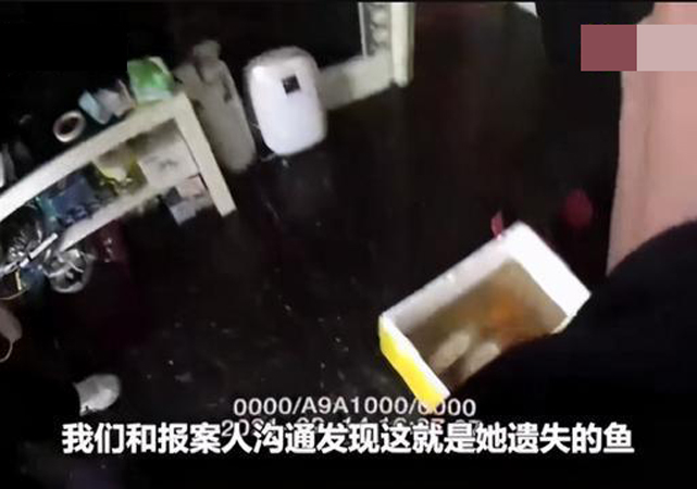 男子偷5萬元錦鯉曬成小魚干3.jpg