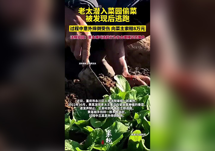 老太偷菜逃跑摔傷 向菜主索賠8萬(wàn)640.jpg