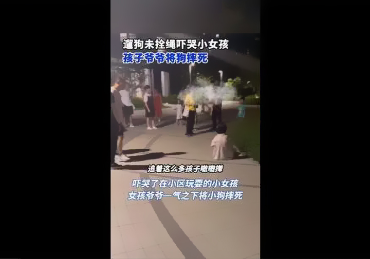 寵物狗沒(méi)拴繩嚇哭小孩被爺爺摔死.jpg