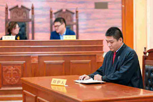 刑事辯護(hù)