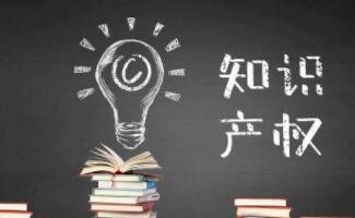 軟件知識產(chǎn)權