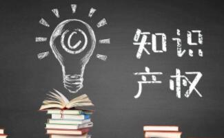 知識(shí)產(chǎn)權(quán)的保護(hù)