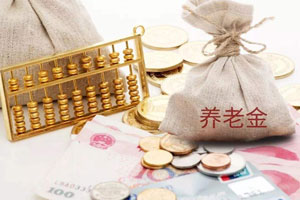 機關(guān)事業(yè)單位養(yǎng)老保險