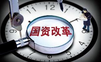 國有獨(dú)資公司