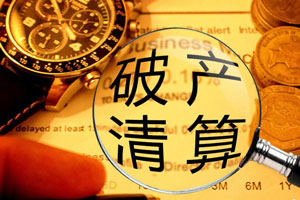 破產(chǎn)清算