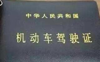 駕駛證年審