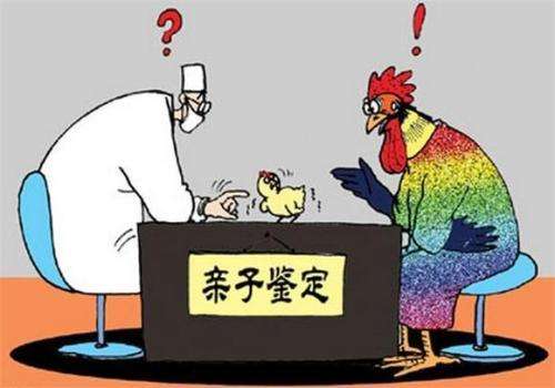 親子鑒定
