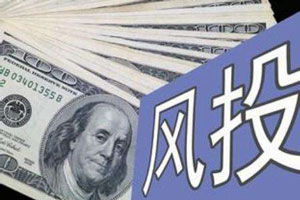風險投資案例