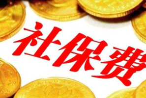 社保有幾種原因交不了