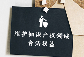 知識(shí)產(chǎn)權(quán)法律服務(wù)