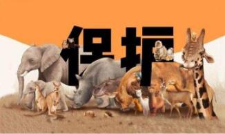 殺害野生動物違反什么法律