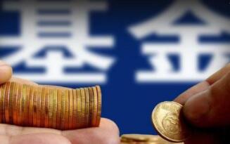 藍(lán)籌是什么基金