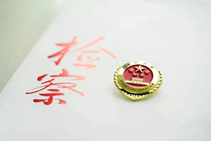 法律監(jiān)督機關