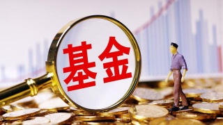 證券投資基金和股票的不同