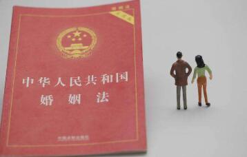 假離婚法律
