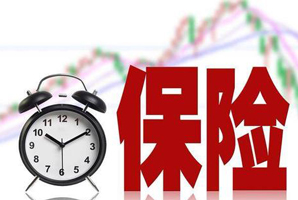 終身醫(yī)療保險(xiǎn)