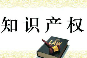 知識產(chǎn)權(quán)調(diào)查