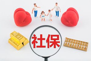 社保稽核