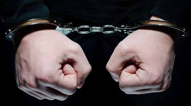 什么是逮捕？