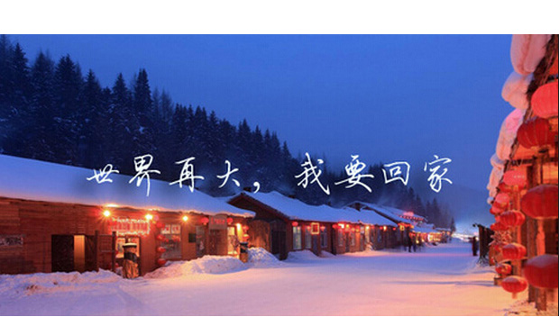 男子搶不到春運(yùn)火車票報(bào)旅游團(tuán)回家 是機(jī)智還是無奈？