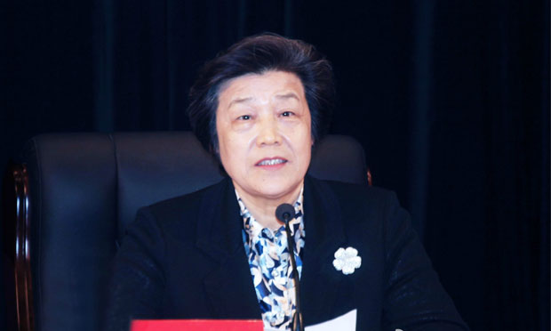 吳愛英：更加扎實有效地做好司法行政各項工作