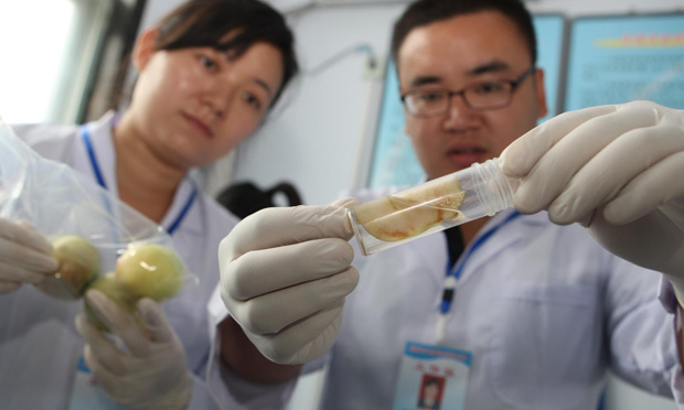 食藥監(jiān)總局：抽檢水果及其制品不合格樣品占15.8%