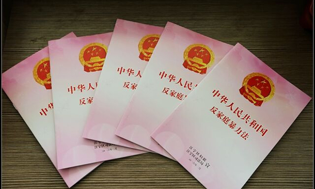養(yǎng)女強(qiáng)占房屋將老父趕出家門，申請(qǐng)人身保護(hù)令需要注意的事項(xiàng)
