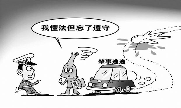 兒子出車禍變植物人 交通肇事逃逸應(yīng)承擔(dān)怎樣的責(zé)任