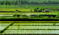 農(nóng)業(yè)部長(zhǎng)詳談農(nóng)村集體產(chǎn)權(quán)制度改革 農(nóng)民將成為最大受益者