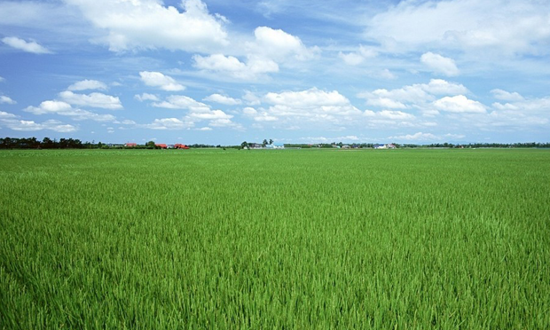 全國人大常委會審議農村土地承包法修正案草案