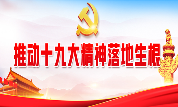 公安部：全面深入解讀 推動十九大精神落地生根