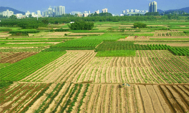 農村土地制度改革三項試點延期