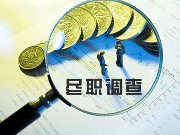 法律盡職調查的內容