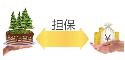 什么是擔(dān)保物權(quán)，包含哪些內(nèi)容