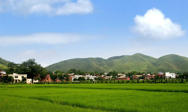 農(nóng)村土地制度改革試點督察啟動 將組15個督察組