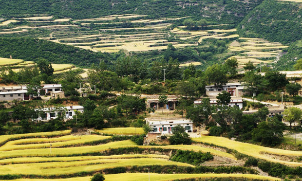 淺析農(nóng)用地與建設(shè)用地的相關(guān)法律問題