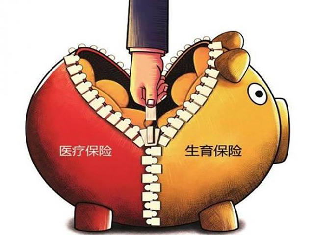 醫(yī)療保險(xiǎn)和生育保險(xiǎn)的區(qū)別