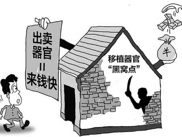 組織販賣(mài)人體器官罪的認(rèn)定和量刑