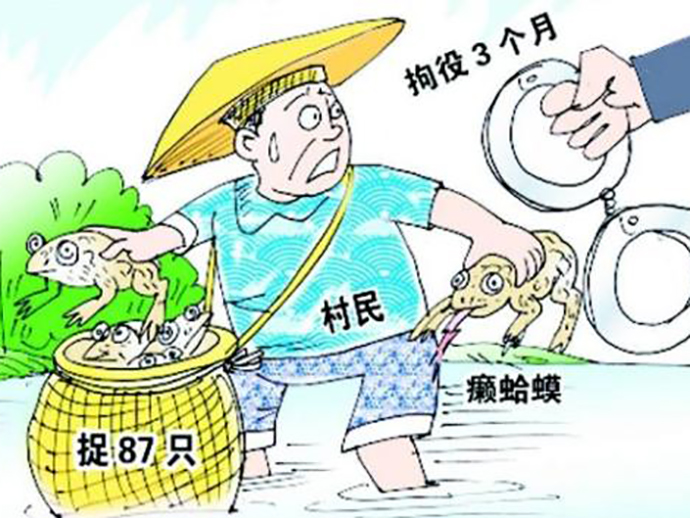 非法狩獵罪的法律解釋