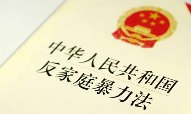 反家庭暴力法實(shí)施兩周年座談會(huì)召開(kāi)