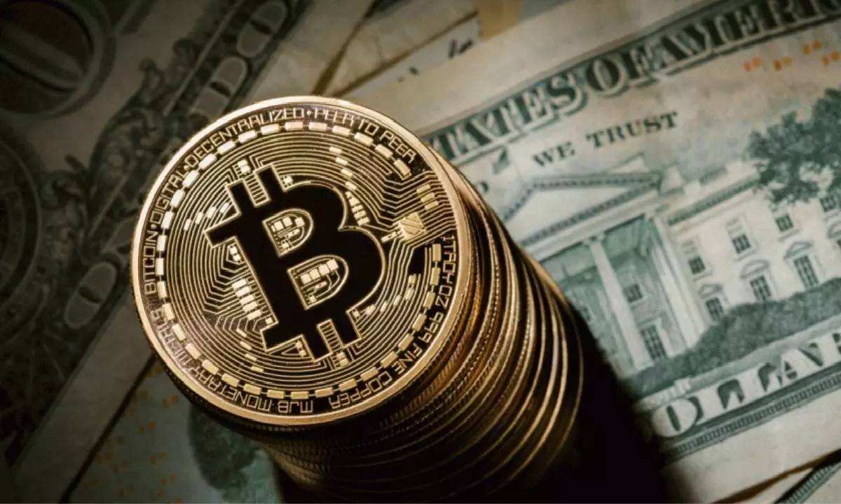 有關(guān)眾籌與非法集資的區(qū)別是什么？