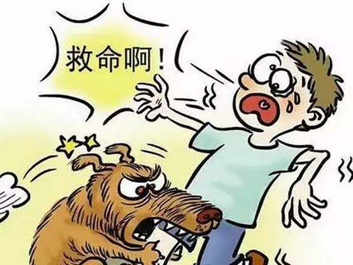 流浪狗傷人的索賠責任
