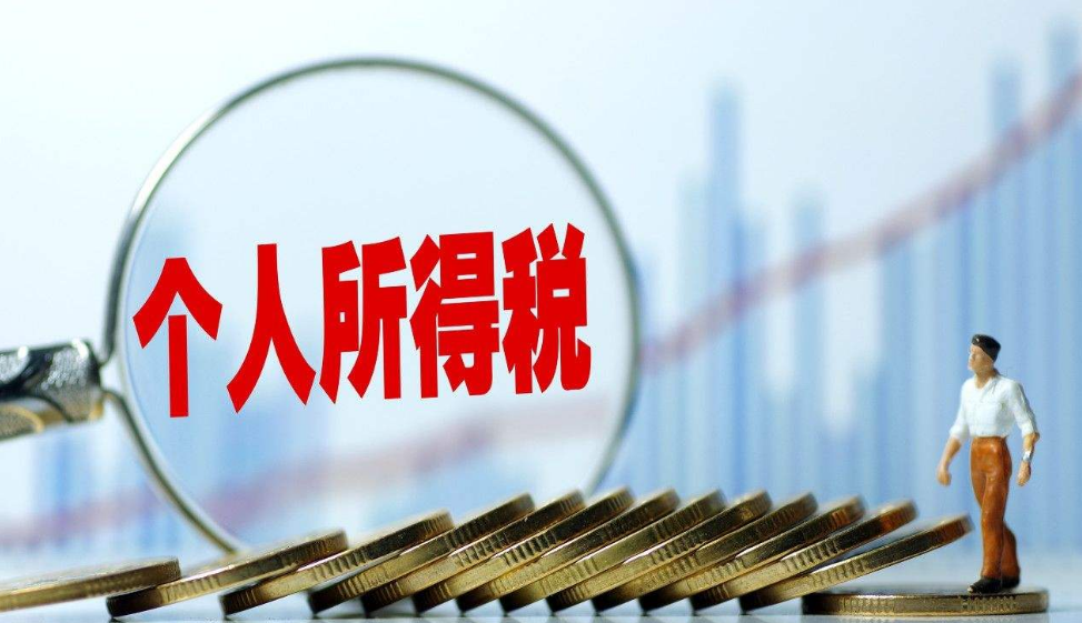 個人所得稅應怎樣繳納,？