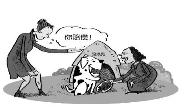 流浪狗咬傷人誰(shuí)應(yīng)該賠償,？