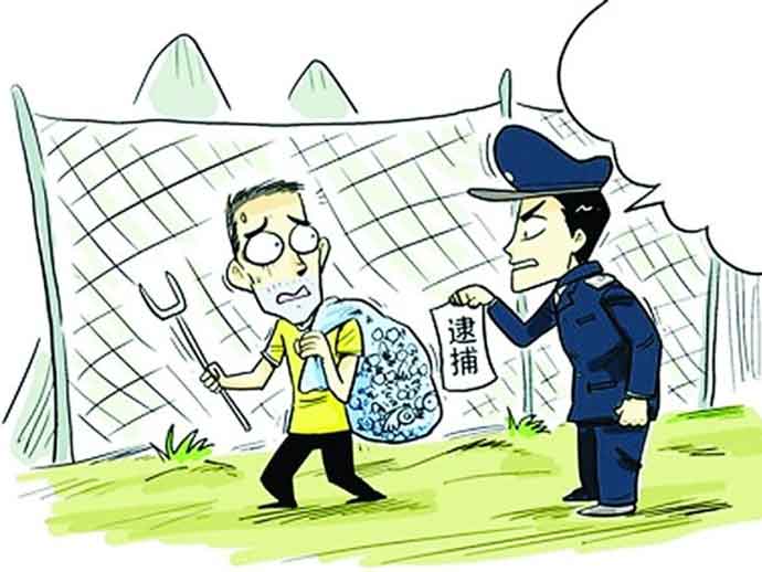 我國法律中關于野生動物犯罪的有哪些,？