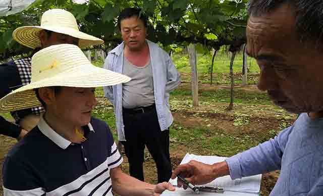 農(nóng)村土地征收農(nóng)民果園的補償標準
